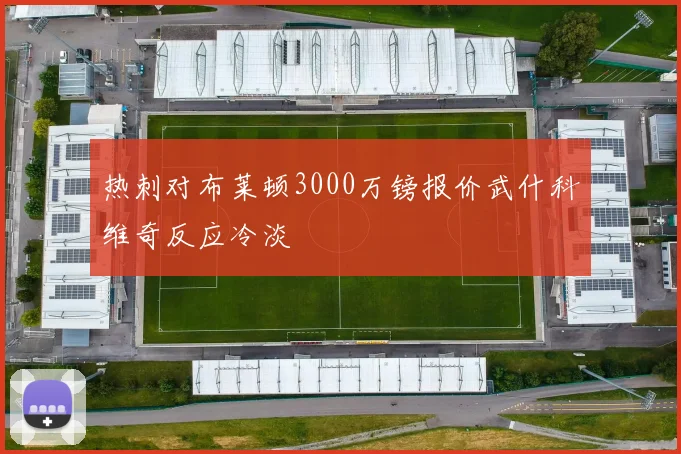 热刺对布莱顿3000万镑报价武什科维奇反应冷淡