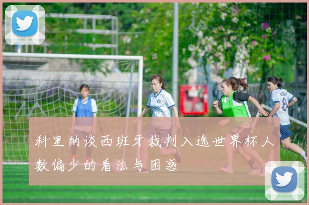科里纳谈西班牙裁判入选世界杯人数偏少的看法与困惑