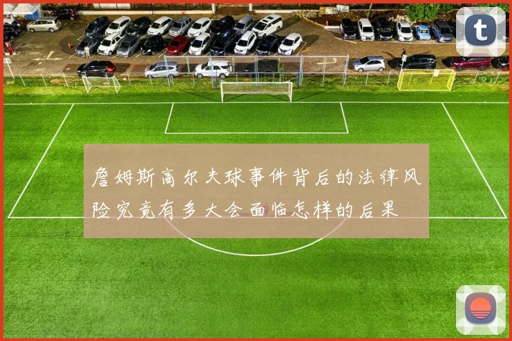 詹姆斯高尔夫球事件背后的法律风险究竟有多大会面临怎样的后果